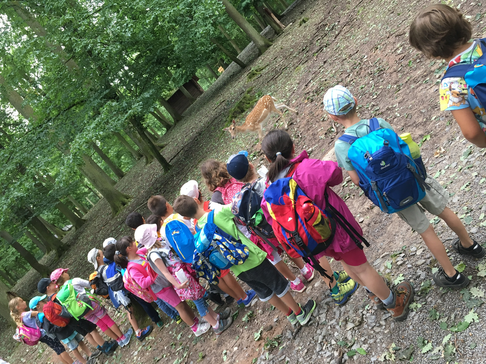 Wildparadies Klasse 1